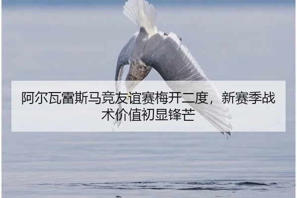 a-er-wa-lei-si-ma-jing-you-yi-sai-mei-kai-er-du-xin-sai-ji-zhan-shu-jia-zhi-chu-xian-feng-mang-2-738.jpg
